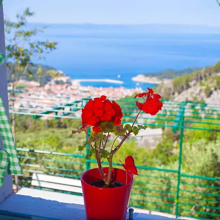 Fetiva Makar Makarska